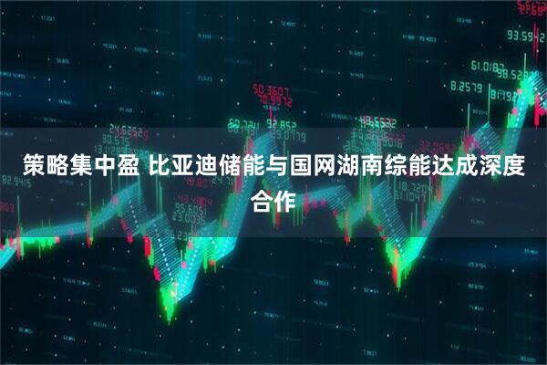 策略集中盈 比亚迪储能与国网湖南综能达成深度合作