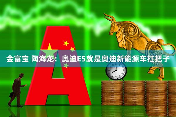 金富宝 陶海龙：奥迪E5就是奥迪新能源车扛把子