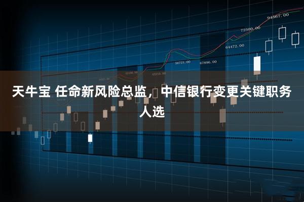 天牛宝 任命新风险总监,中信银行变更关键职务人选